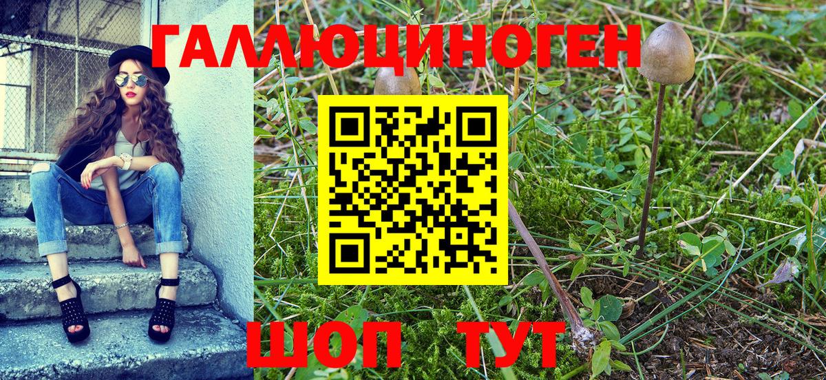Псилоцибиновые грибы ЛСД Нижнеудинск