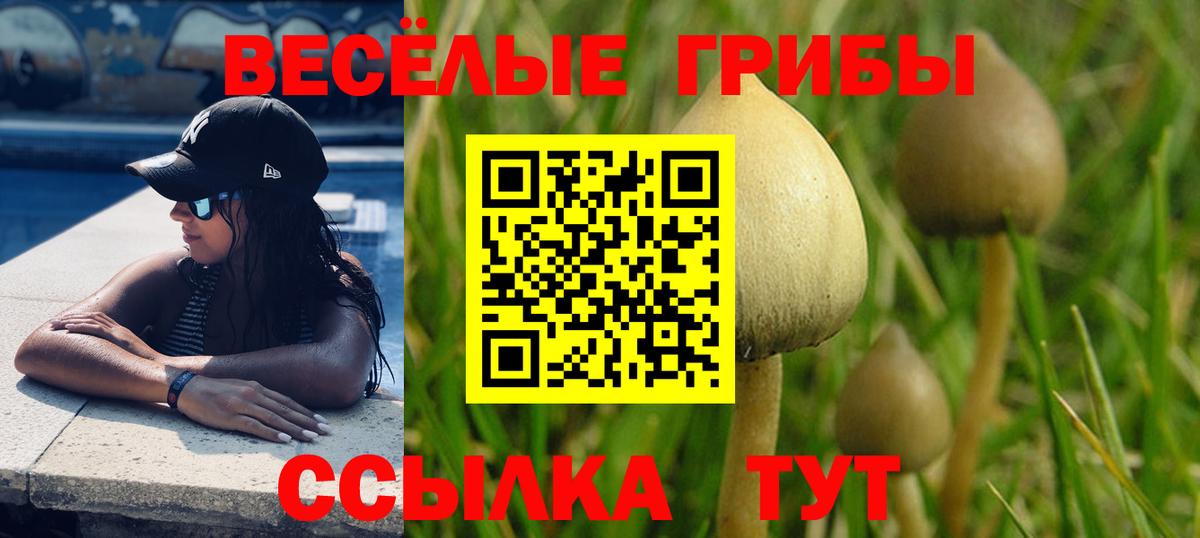 Галлюциногенные грибы мицелий  Вход с VPN  Псилоцибиновые грибы MAGIC MUSHROOMS  где найти наркотики  Нижнеудинск 