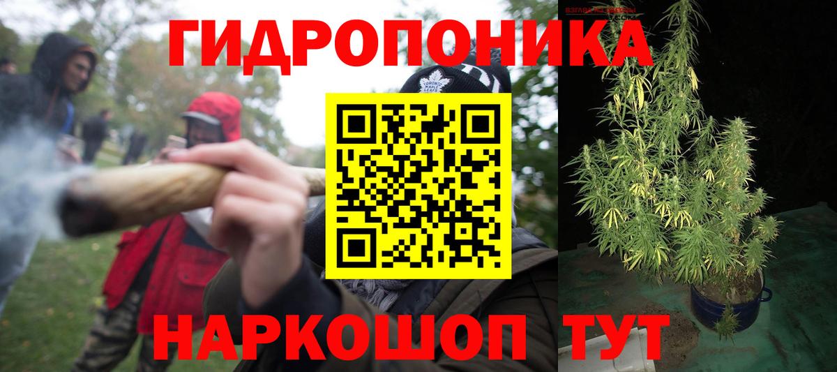 Конопля сатива Нижнеудинск